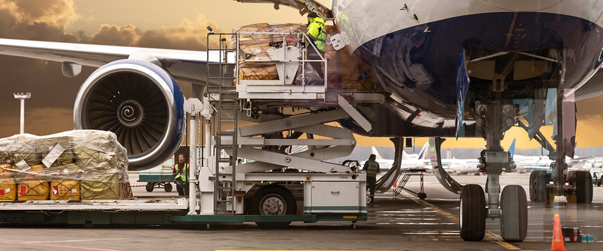 Transportation Services: Understanding Your Options